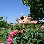Apartment Studio Nera Rovinj