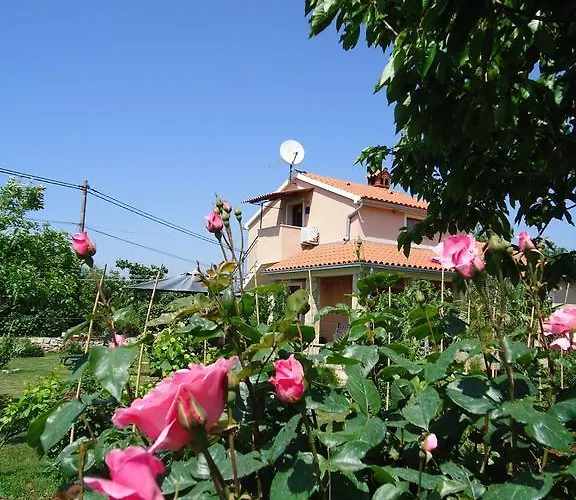 아파트 Nera 로비니